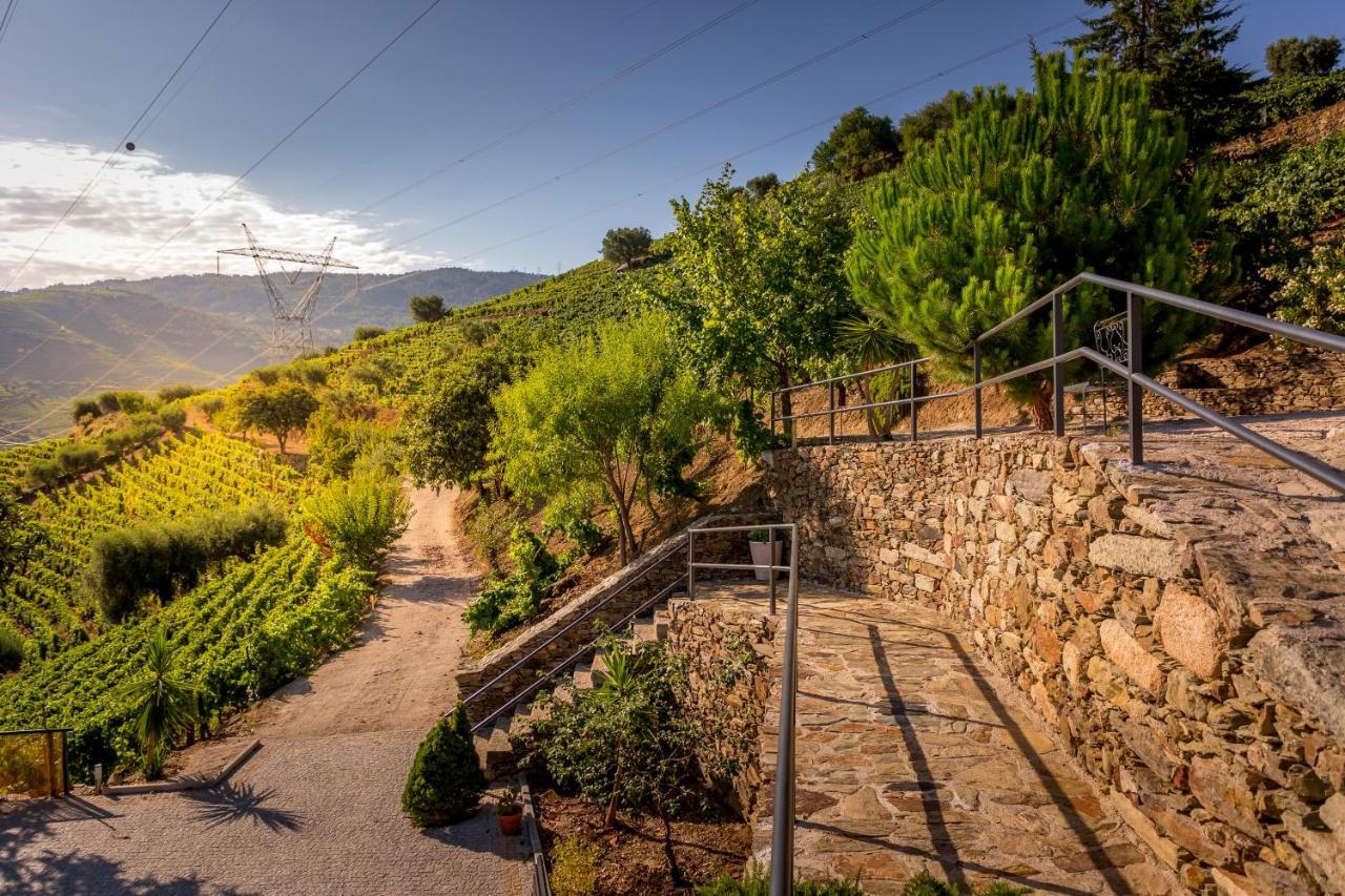 Quinta Da Portela Douro Armamar Kültér fotó